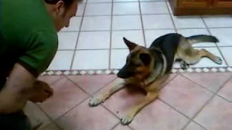 Wait for it...