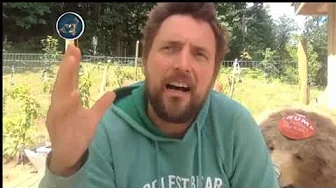 Owen Benjamin on flat earth & solar system